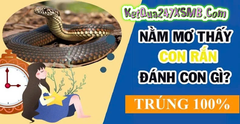 Mơ thấy rắn đánh số gì chính xác