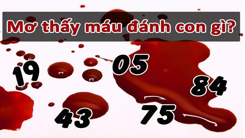 Ngủ mơ thấy máu đánh con gì dễ trúng