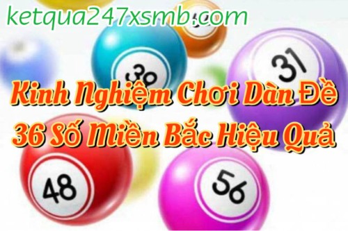Quản lý vốn thông minh khi nuôi dàn đề