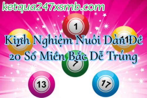 Quản lý vốn thông minh khi nuôi đề