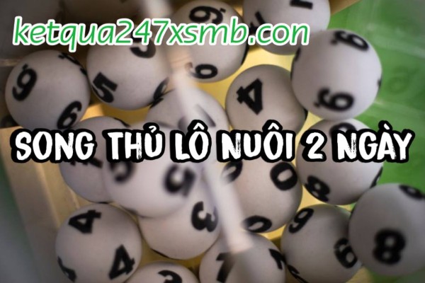 Song Thủ Lô Nuôi 2 Ngày – Phân Tích Song Thủ Chuẩn Xác